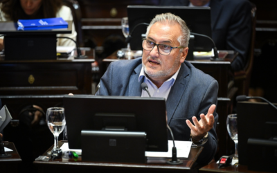 Crisis del sistema de transporte: Lewandowski exige explicaciones al Gobierno Nacional