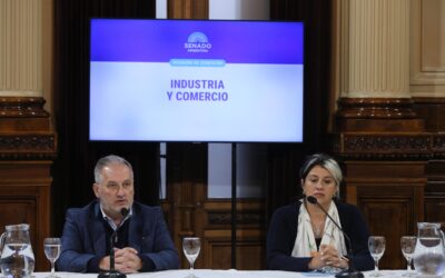 «Sin industria y comercio no hay desarrollo posible»